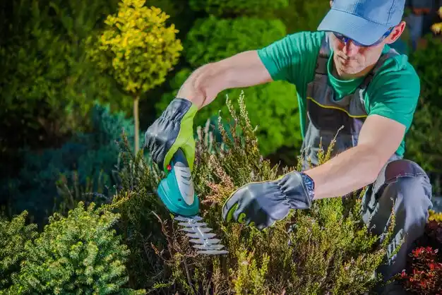 landscaping services Mattituck